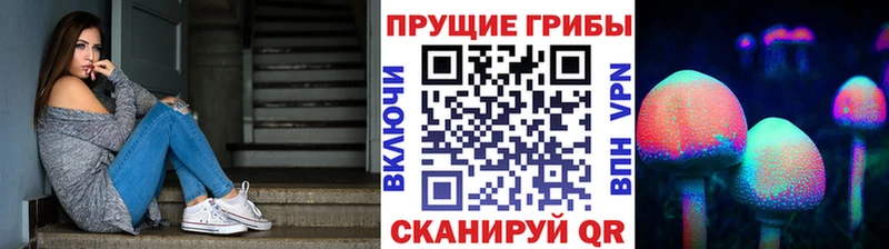 Псилоцибиновые грибы прущие грибы  Купить закладки  Сарапул 
